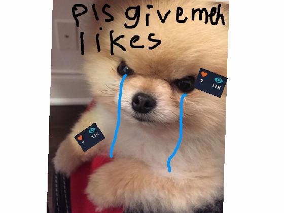 Pls give me more likes :( 1