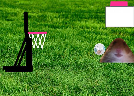hamster basketball 1