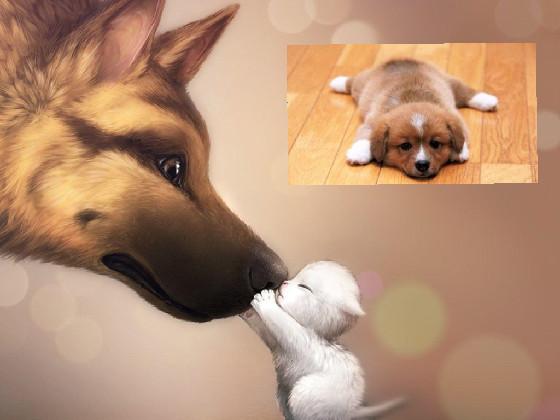 Cuteness Clicker 1 1