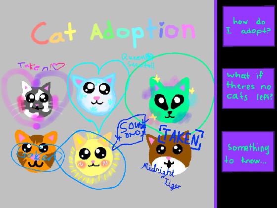 Cat adoption 1 1 1 1 1