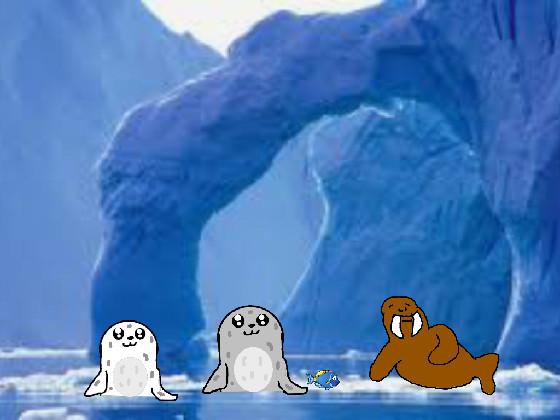 Seals, Fish, Walrus