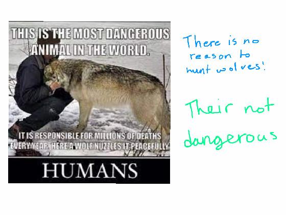 #STOPTHEHUNT rick asley