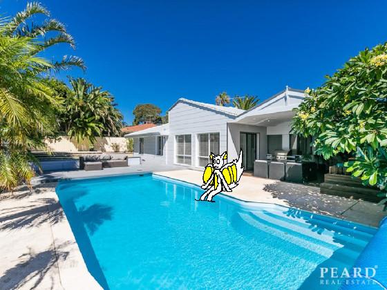 add your oc in the pool