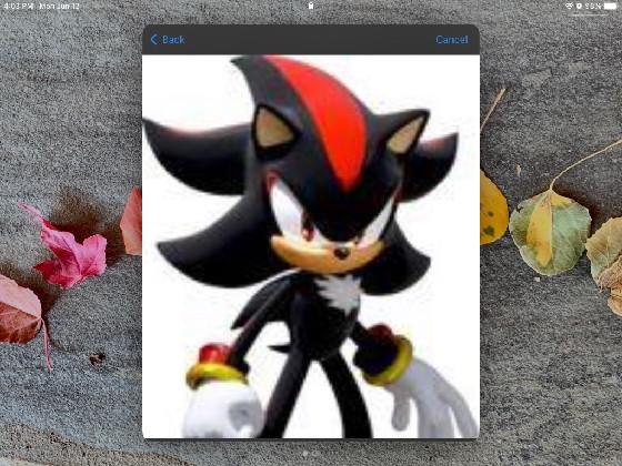 Shadow