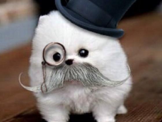 plz like if this is cute!