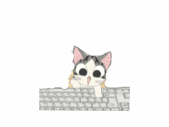 Keyboard cat 🐈 1