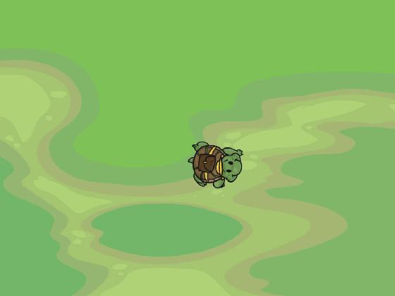 Turtle Trails 1