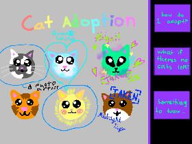 Cat adoption 1 1 1 1