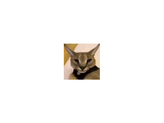 LOUD Memes 1 1 1 2 1