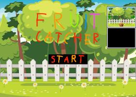 Fruit catcher