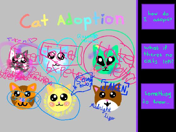 Cat adoption 1 1 1 1 1 1