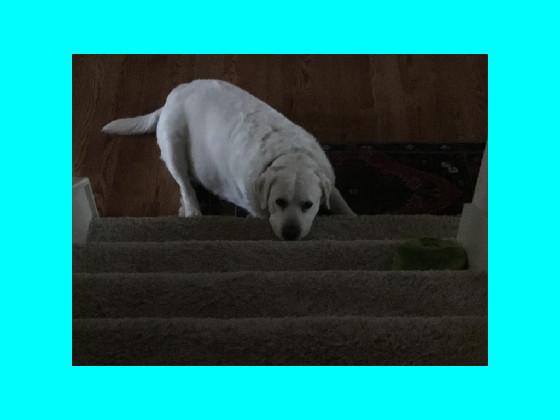 never gonna give you up