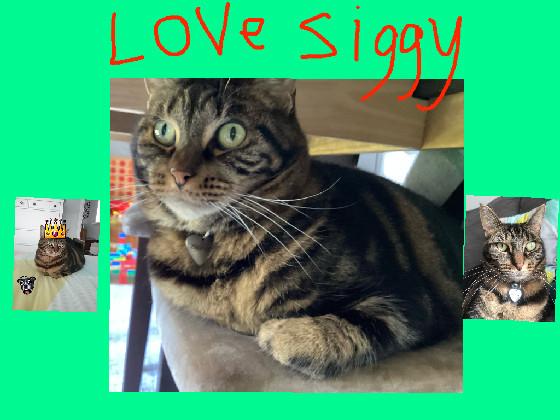 like if you love Ziggy!