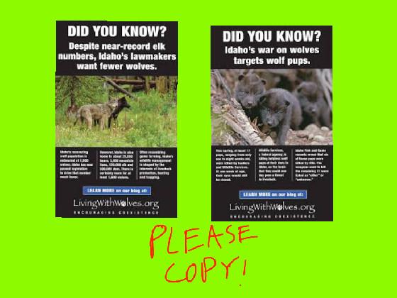 #save the wolves 1 1 1