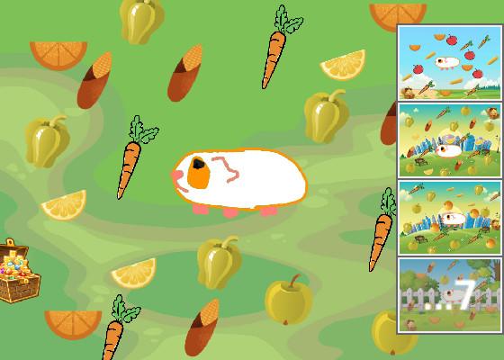Guinea pig sim 1