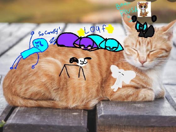 add your oc on tabby cat loaf 1 1