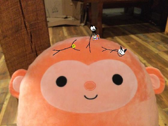 add your oc on a Squishmallow