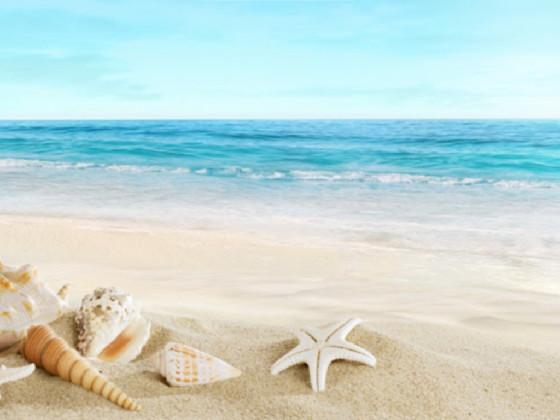 add your OC on the beach:2