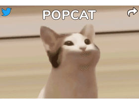 POPCAT remix