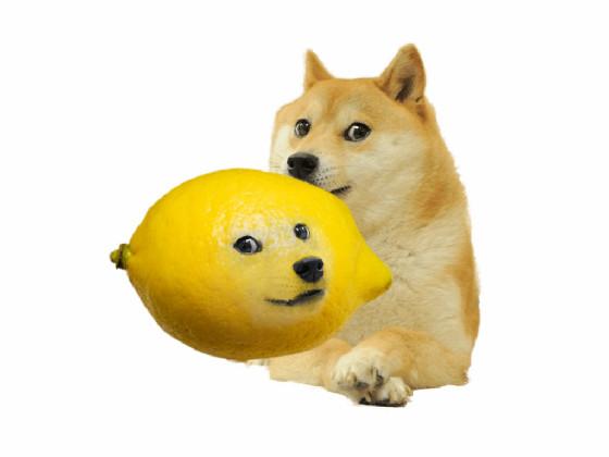 doge eats a lemon and this happens 1