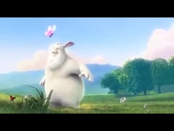 Mr rabit want to play 1