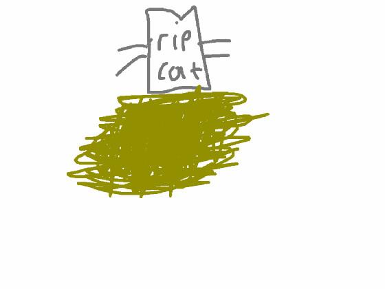 Learn To Draw 1