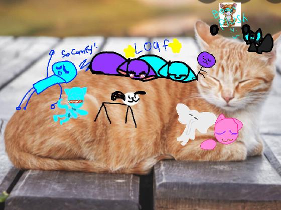 add your oc on tabby cat loaf 1 1 1 1 1