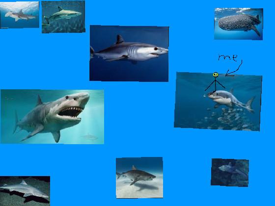 add your oc with sharks