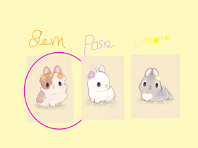 cute bunny adoption center