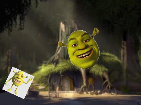 Shrek Spinner 1