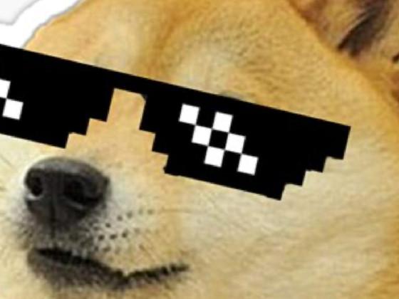 When The DOGE is SuS