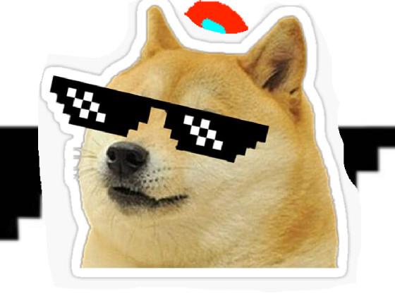 When The DOGE is SuS 1