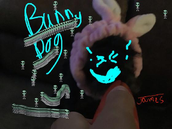 bunny dog song pepa pig 1