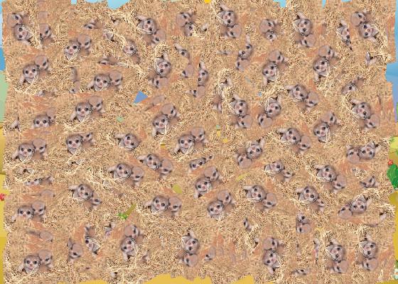 meerkat game☺️❤️💕 - copy