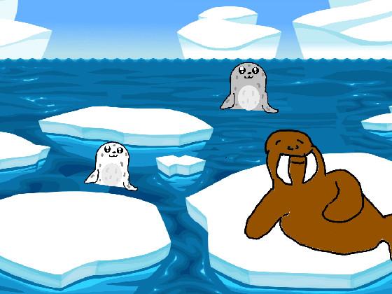 Seals and Walrus 1 1