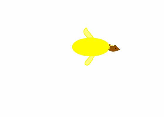 fly