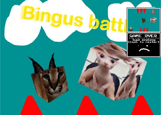 bingus battle! (OUTDATED)