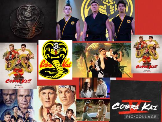 Cobra kai