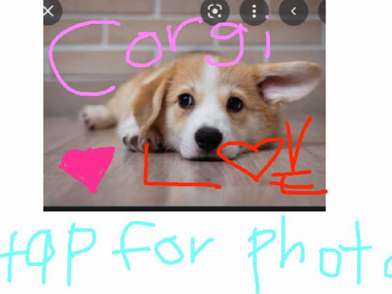 my first project {plz like}