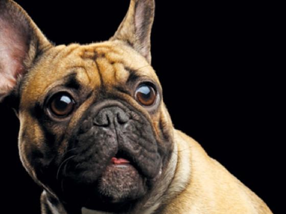 GhostBusters Theme Song 1 1