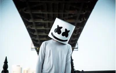 Marshmallow-Alone   1 1 1 1 1