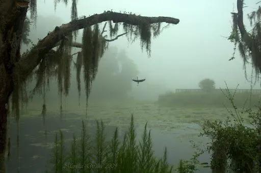 re:add your oc at the swamp