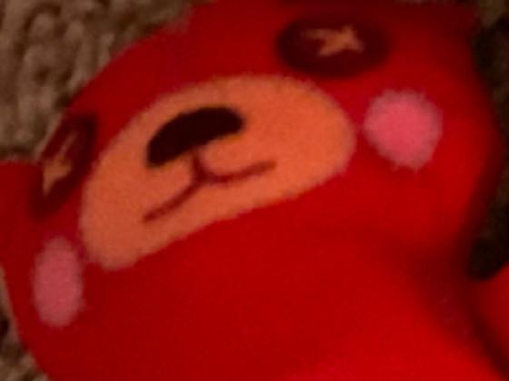 when Bear is sus 2 1 1 1