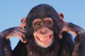  best monkey clicker
