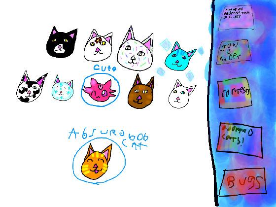 adopt a cat!  1
