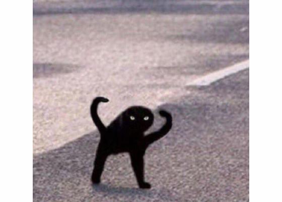 i. c.a.n.s.e.e.y.o.u