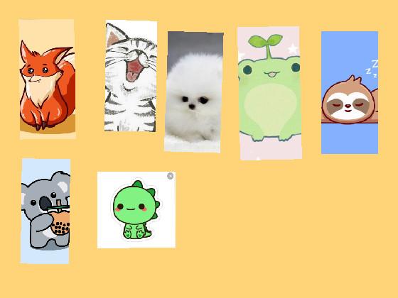 Adoptables!