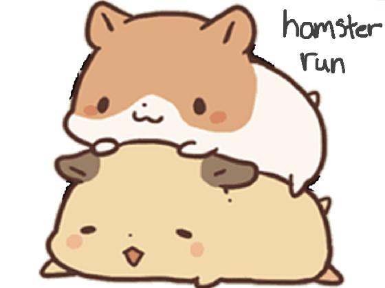 hamster run by: Tailor 1