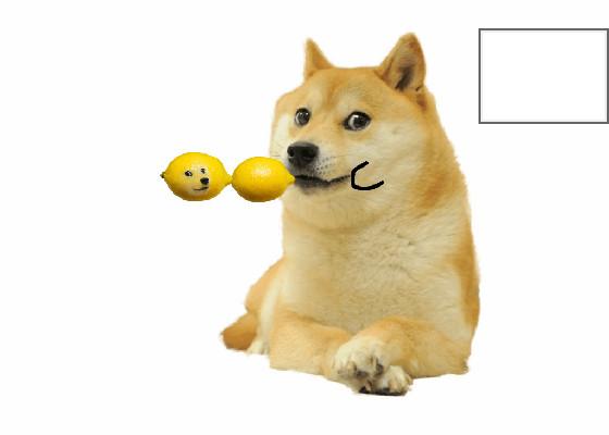 doge eats a lemon and this happens 1 1