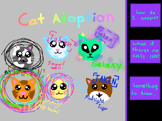 Cat adoption 1 1 1 1 1